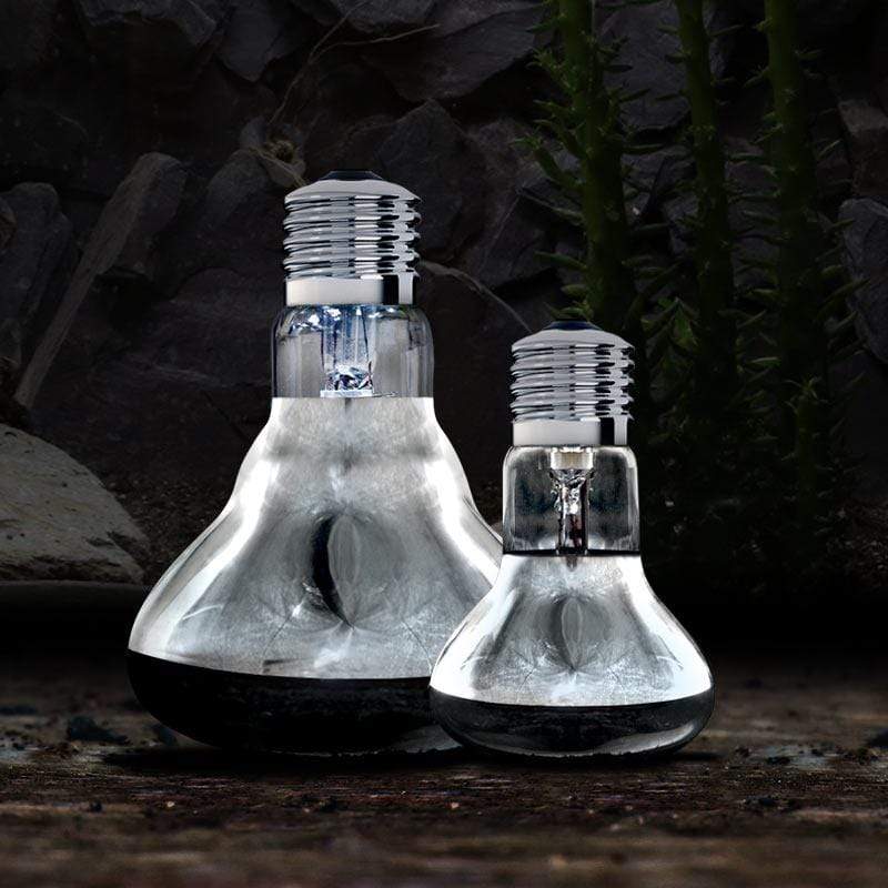 Arcadia Solar Basking Spotlight - Aquatic Supplies Australia