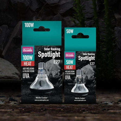 Arcadia Solar Basking Spotlight - Aquatic Supplies Australia