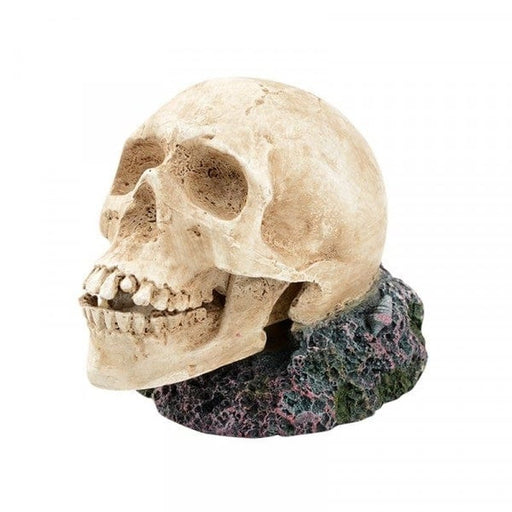 Bioscape Bubbler - Large Human Skull - Aquatic Supplies Australia