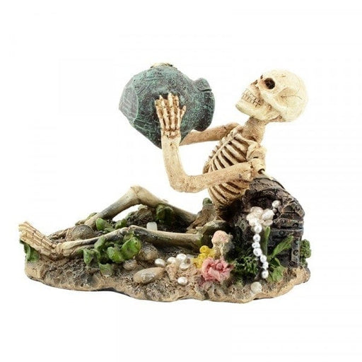 Bioscape Bubbler - Skeleton with Jug - Aquatic Supplies Australia