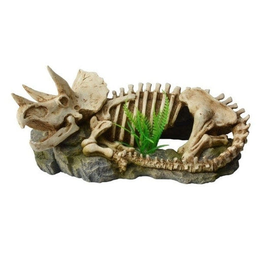 Bioscape Dinosaur Skeleton with Plant 25.5 x 12cm - Aquatic Supplies Australia