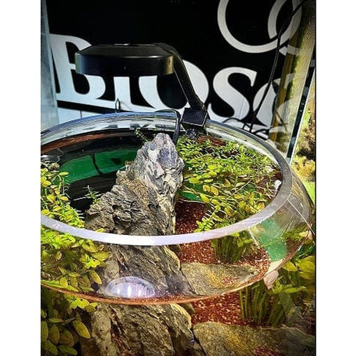 Bioscape LED Clip - on Lamp 5W Black for Cylindrical Aquariums and Bowls - Aquatic Supplies Australia