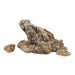 Bioscape Luohan Rock Mixed Pack 20kg - Aquatic Supplies Australia