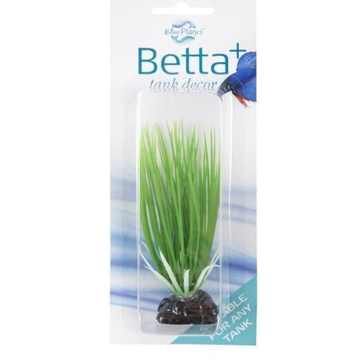 Blue Planet Betta+ Mini Plant Grass 10cm - Aquatic Supplies Australia