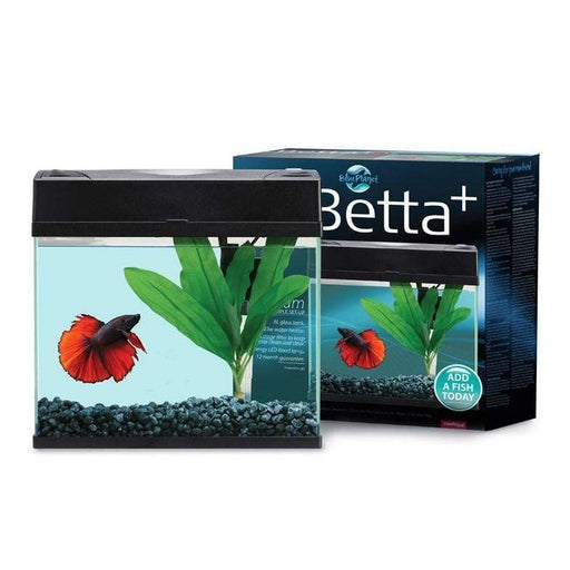 Blue Planet Betta Plus Tank 8L - Aquatic Supplies Australia