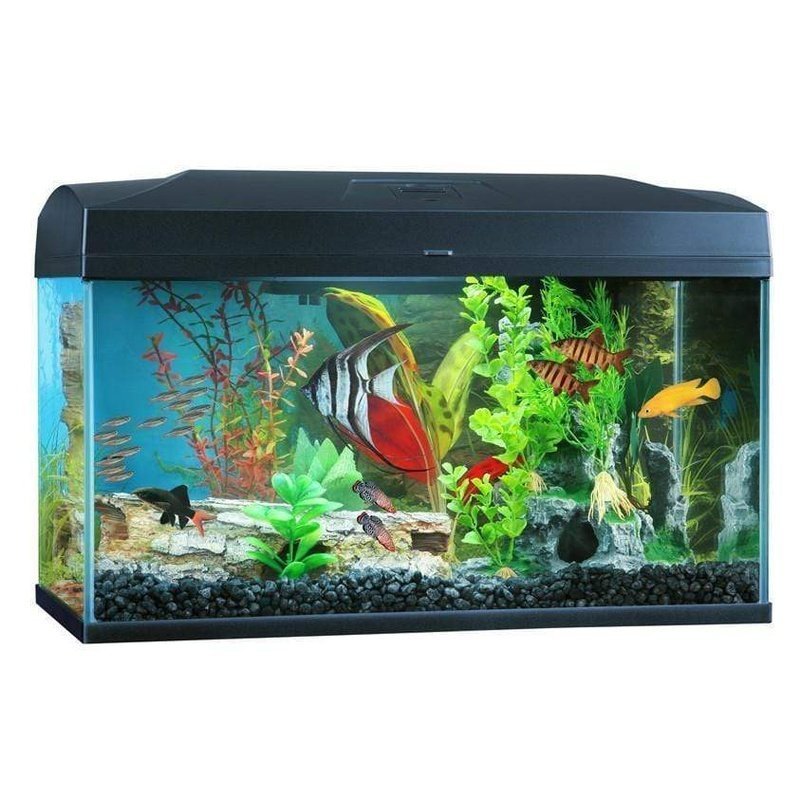 Blue Planet Classic 50 Aquarium (50L) with LED - Aquatic Supplies Australia