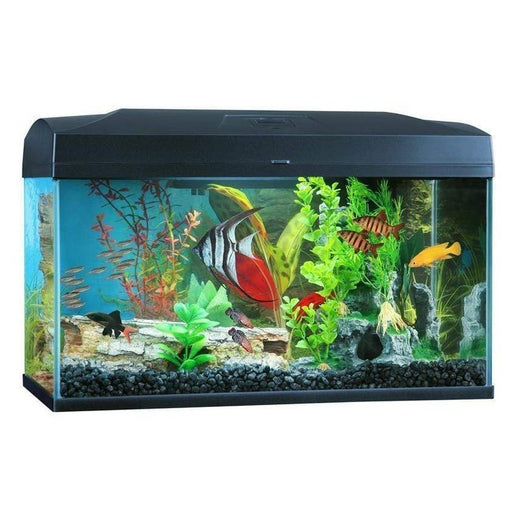 Blue Planet Classic 50 Aquarium (50L) with LED - Aquatic Supplies Australia