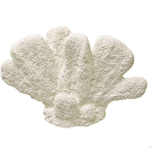 Blue Ribbon Cats Paw Coral Mini 8 x 6 x 5.5cm - Aquatic Supplies Australia