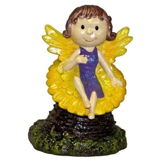 Blue Ribbon Pixie on Flower 7cm - Aquatic Supplies Australia