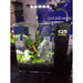 Dymax IQ5 Mini Acrylic Aquarium 13L - Aquatic Supplies Australia