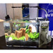 Dymax IQ7 Mini Acrylic Aquarium 18L - Aquatic Supplies Australia