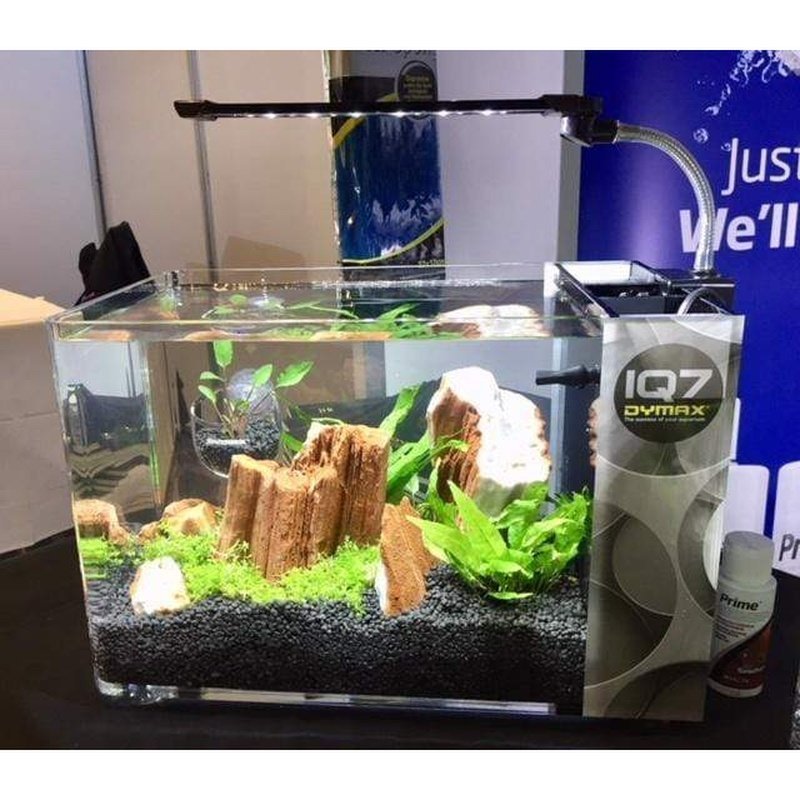 Dymax IQ7 Mini Acrylic Aquarium 18L - Aquatic Supplies Australia