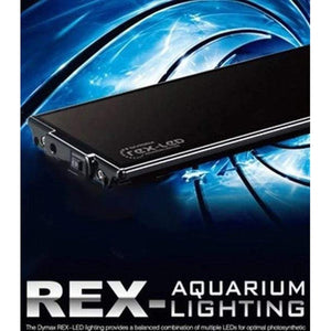 Dymax REX LED Marine Aquatic Supplies Australia