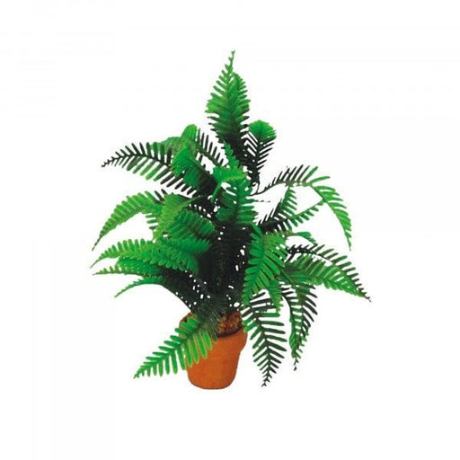 Eco Tech Desert Fern 20cm - Aquatic Supplies Australia