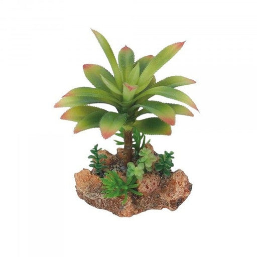 Eco Tech Flowering Cajun Cactus 13cm - Aquatic Supplies Australia