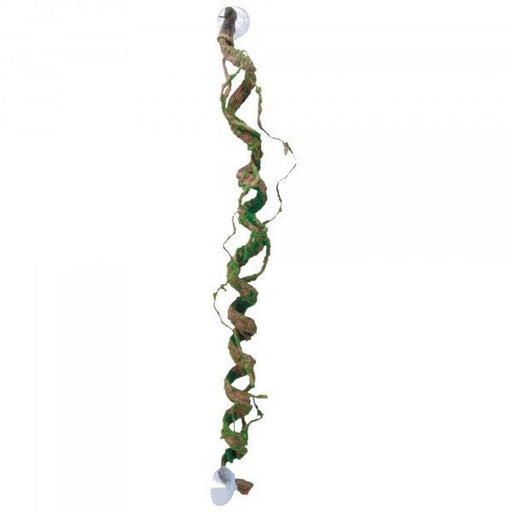 Eco Tech Giant Corkscrew with Scaley Bark 80cm - Aquatic Supplies Australia