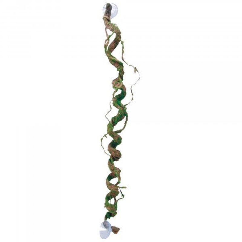 Eco Tech Giant Corkscrew with Scaley Bark 80cm - Aquatic Supplies Australia