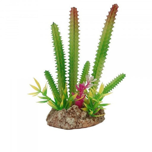 Eco Tech Multi Desert Cactus & Rock 15cm - Aquatic Supplies Australia