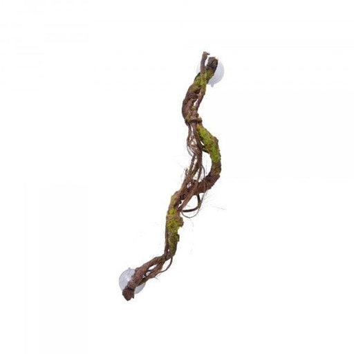 Eco Tech Multiple Vines with Moss & Lichen 60cm - Aquatic Supplies Australia