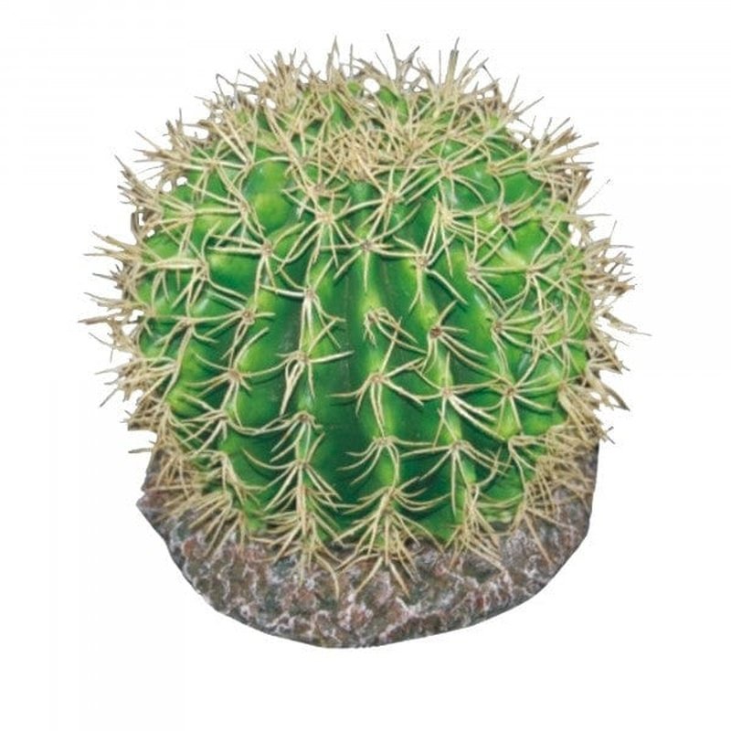 Eco Tech Pineapple Cactus - Aquatic Supplies Australia