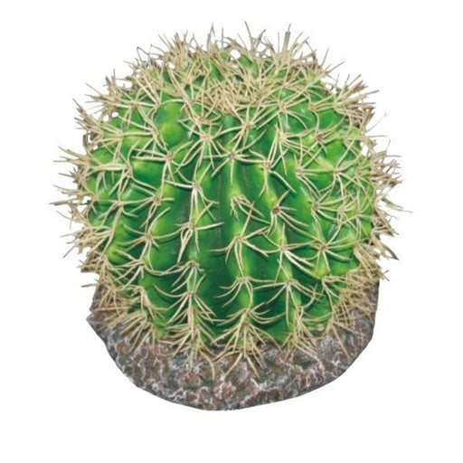 Eco Tech Pineapple Cactus - Aquatic Supplies Australia