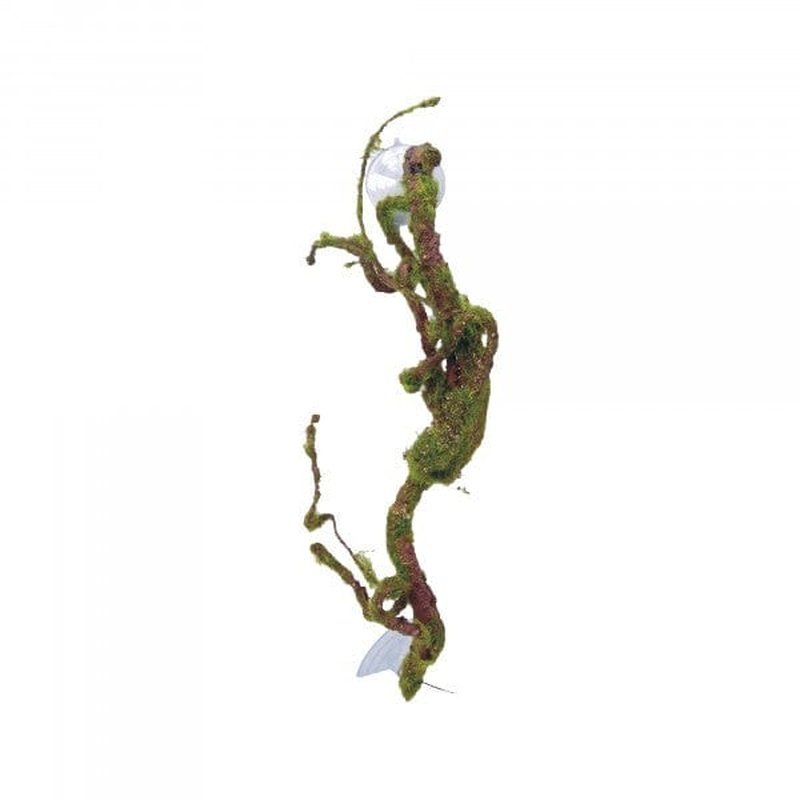 Eco Tech Twisted Vine with Moss Ball 40cm - Aquatic Supplies Australia