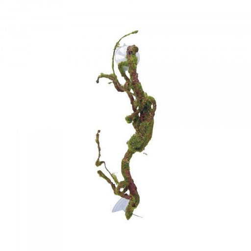 Eco Tech Twisted Vine with Moss Ball 40cm - Aquatic Supplies Australia