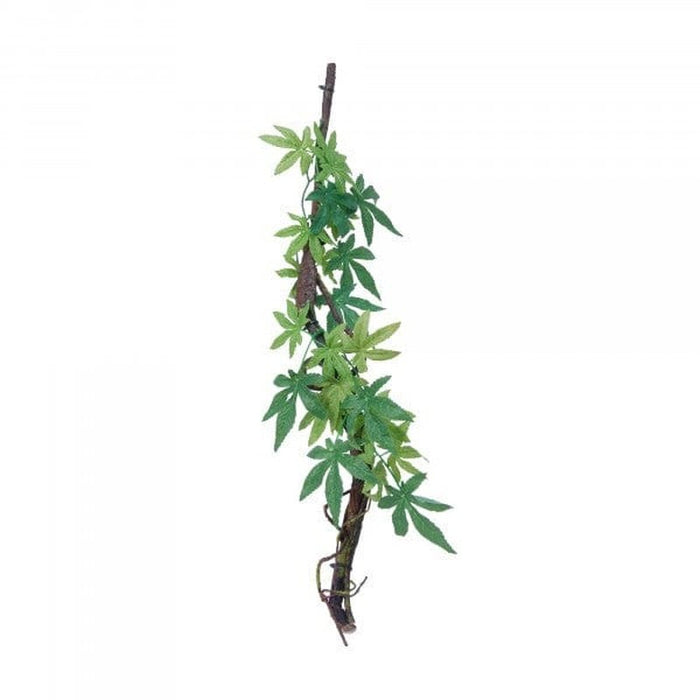 Eco Tech Vine with Albuliton Growth - Aquatic Supplies Australia