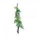 Eco Tech Vine with Albuliton Growth - Aquatic Supplies Australia