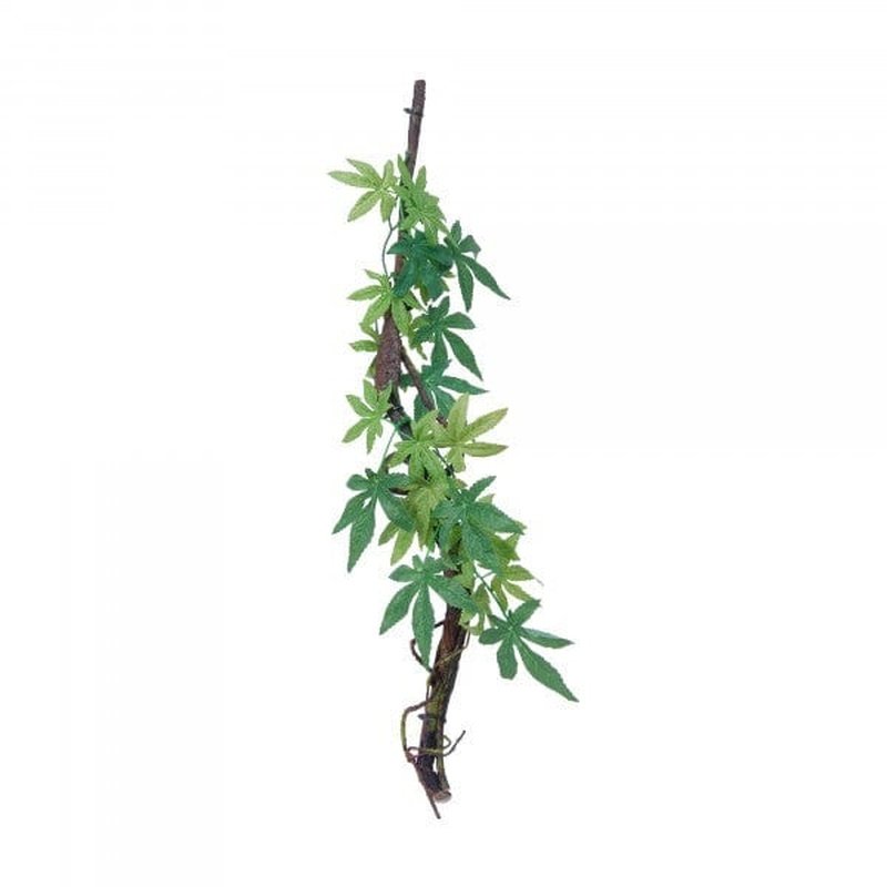 Eco Tech Vine with Albuliton Growth - Aquatic Supplies Australia
