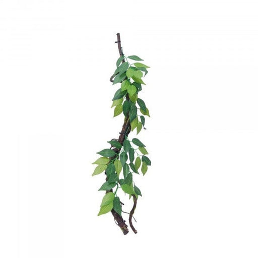 Eco Tech Vine with Ficus Growth - Aquatic Supplies Australia