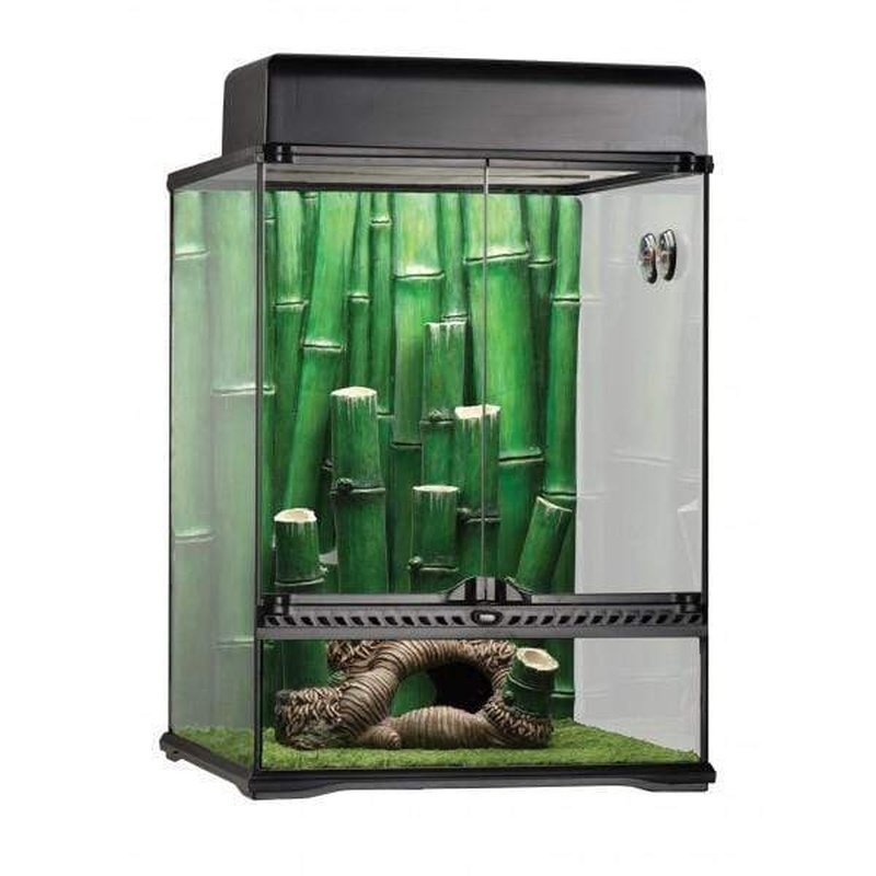 Exo Terra Bamboo Forest Terrarium Kit Small 30 x 30 x 45 cm - Aquatic Supplies Australia
