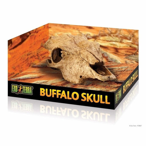 Exo Terra Buffalo Skull Hiding Place Medium - Aquatic Supplies Australia