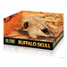 Exo Terra Buffalo Skull Hiding Place Medium - Aquatic Supplies Australia