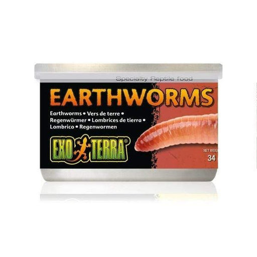 Exo Terra Canned Earthworms 34gm - Aquatic Supplies Australia