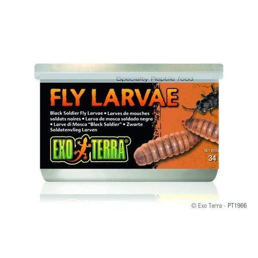 Exo Terra Canned Food 34g Black Soldier Fly Larvae - Aquatic Supplies Australia