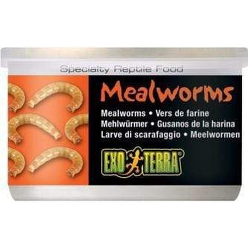 Exo Terra Canned Food 34g Mealworms - Aquatic Supplies Australia