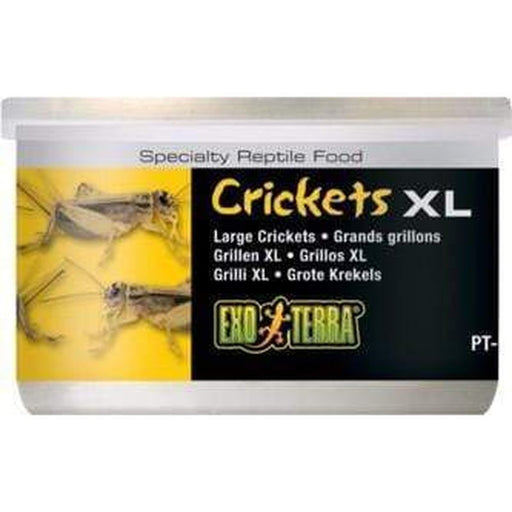 Exo Terra Canned Food 34g XL Crickets - Aquatic Supplies Australia