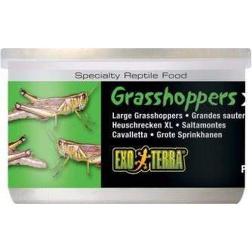 Exo Terra Canned Food 34g XL Grasshoppers - Aquatic Supplies Australia