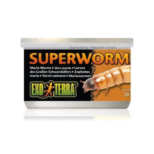 Exo Terra Canned Superworms 34gm - Aquatic Supplies Australia