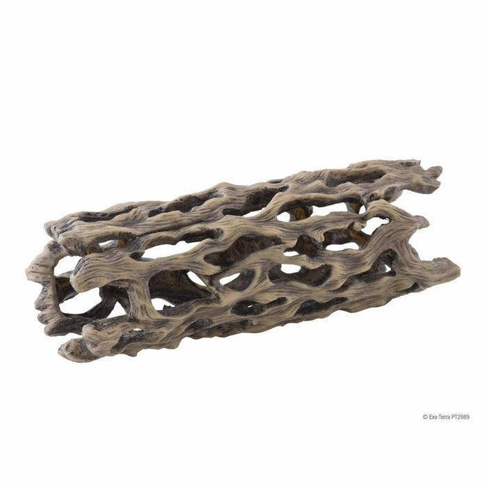 Exo Terra Cholla Cactus Skeleton - Aquatic Supplies Australia