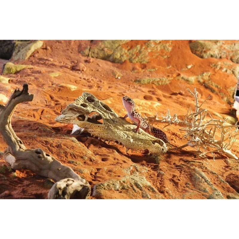 Exo Terra Crocodile Skull Hiding Place - Aquatic Supplies Australia