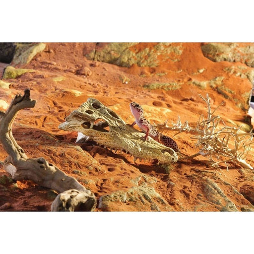 Exo Terra Crocodile Skull Hiding Place - Aquatic Supplies Australia