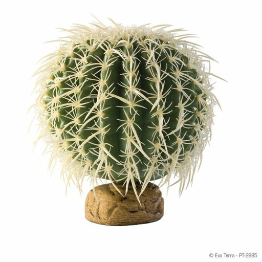 Exo Terra Desert Ground Plant Barrel Cactus Medium 13cm - Aquatic Supplies Australia