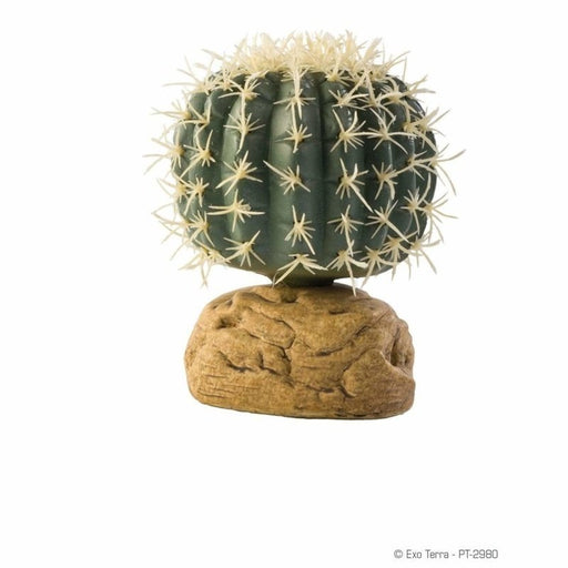 Exo Terra Desert Ground Plant Barrel Cactus Small 7cm - Aquatic Supplies Australia