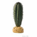 Exo Terra Desert Ground Plant Saguaro Cactus 16cm - Aquatic Supplies Australia