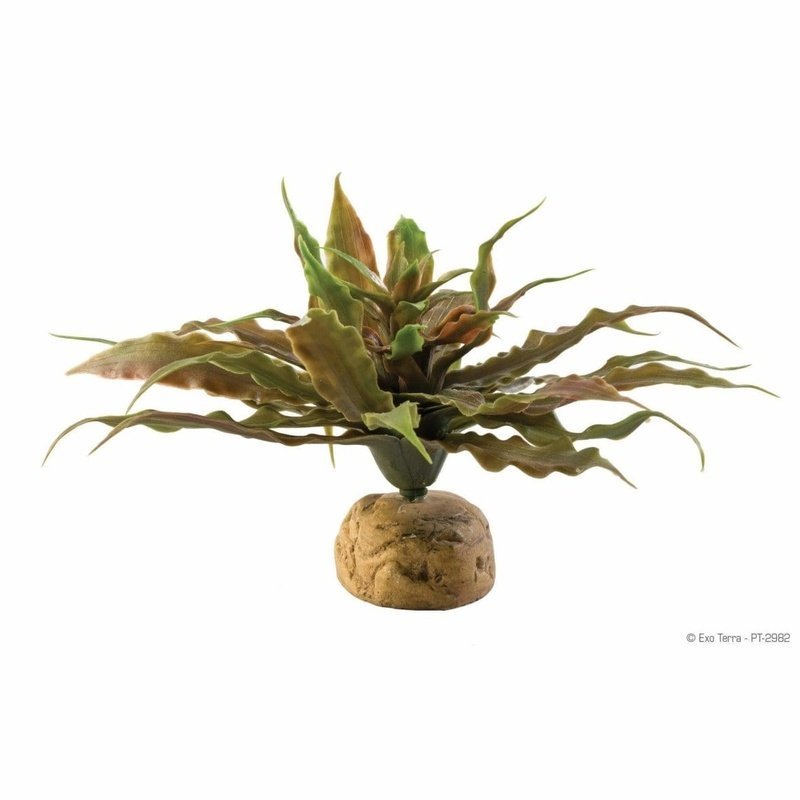 Exo Terra Desert Ground Plant Star Cactus - Aquatic Supplies Australia