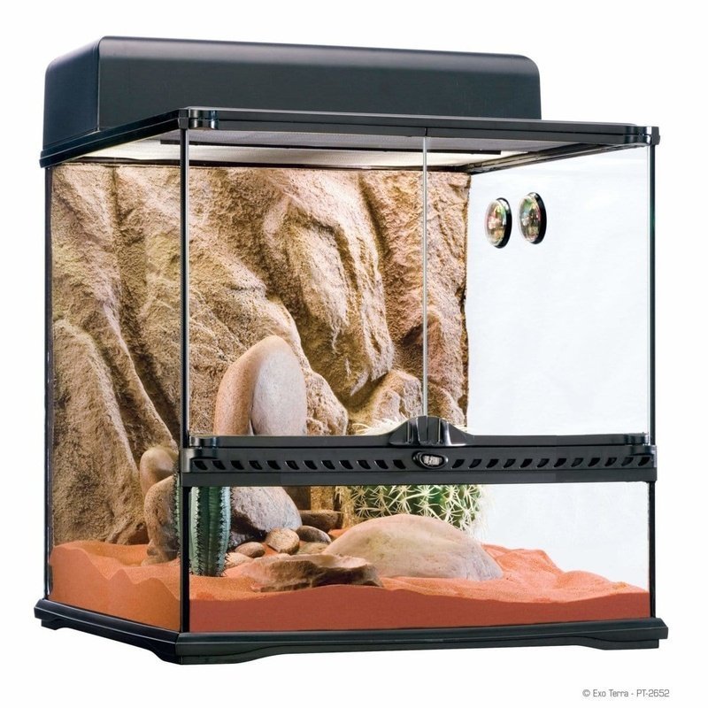 Exo Terra Desert Habitat Kit Medium 45 x 45 x 45cm - Aquatic Supplies Australia