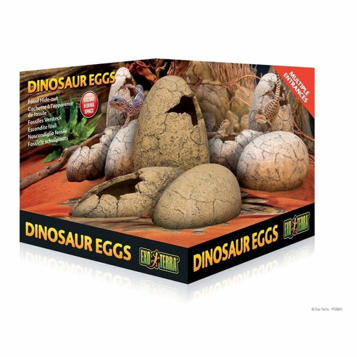 Exo Terra Dinosaur Eggs Hide Out - Aquatic Supplies Australia