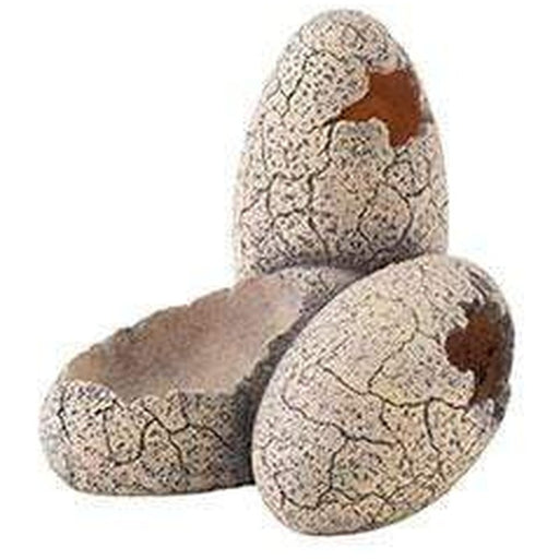 Exo Terra Dinosaur Eggs with Water Dish - Aquatic Supplies Australia
